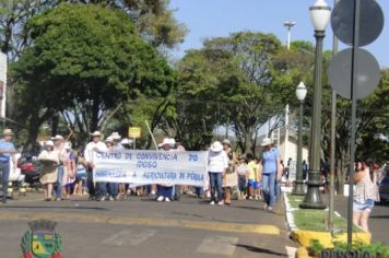 Foto - Desfile Cívico em comemoração ao aniversário de Pérola encanta moradores / Parte 2