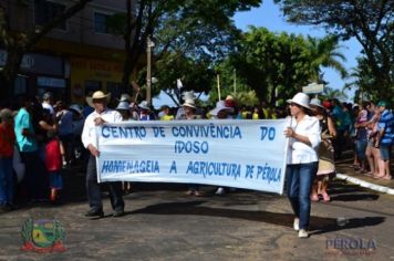 Foto - Desfile Cívico em comemoração ao aniversário de Pérola encanta moradores / Parte 1