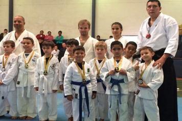 Festival Esportivo de karatê