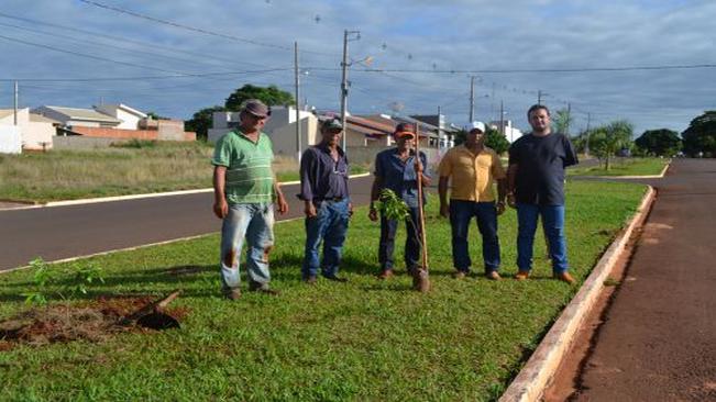 Arborização da avenida Presidente Getúlio Vargas